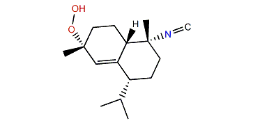 Halichon C